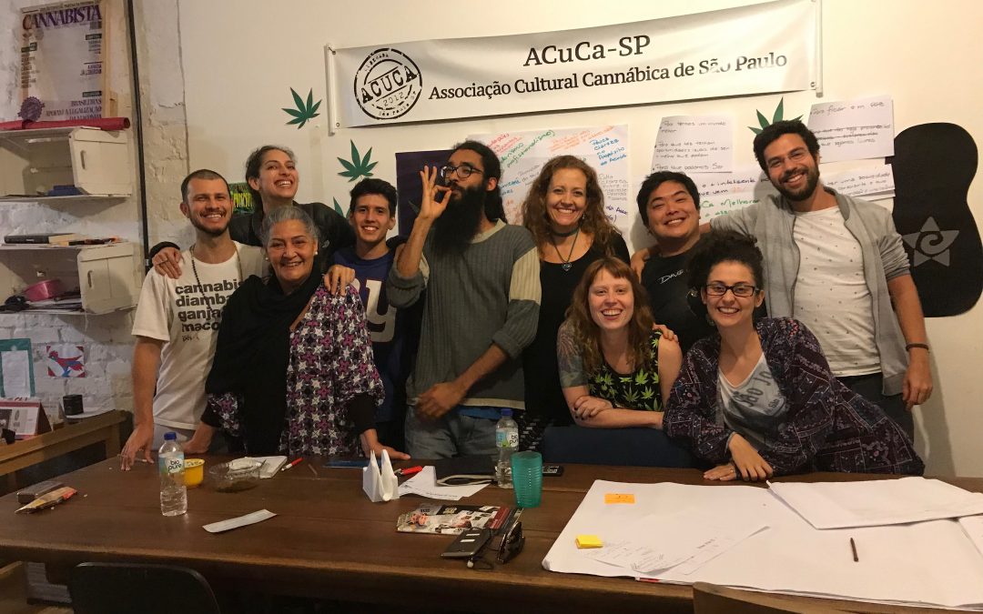 Sociocracia 3.0: a experiência do ativismo canábico com uma forma de gestão radicalmente orgânica