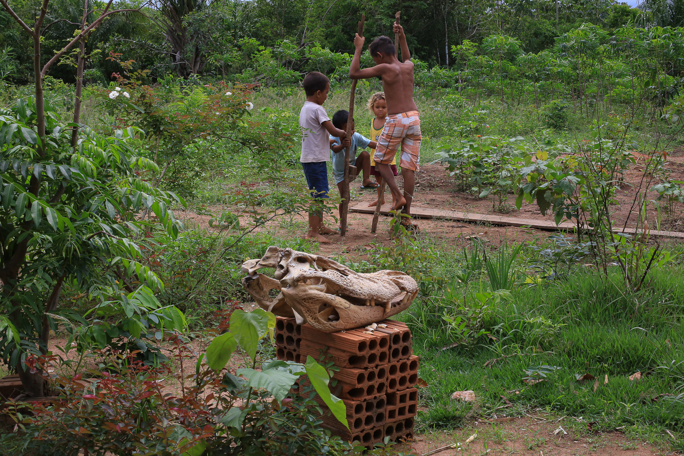 Crianças indígenas Wajuru brincam de perna de pau em Porto Rolim, Rondônia - novembro de 2019