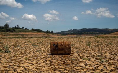 Como redes de desinformação têm destruído o meio ambiente e o que podemos fazer