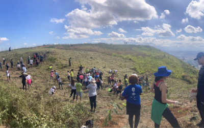 Eles queimam, nós plantamos: a resistência ambiental na Baixada Fluminense (RJ)