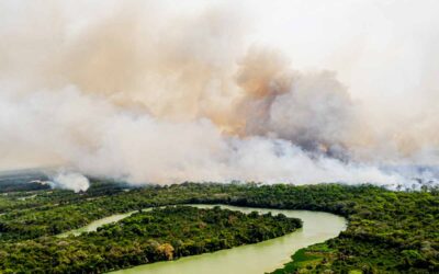 Mudanças climáticas tornaram queimadas 40% mais intensas no Pantanal