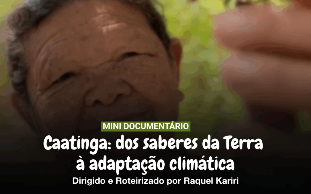 Caatinga: dos saberes da Terra à adaptação climática – vídeo mostra o que o semiárido brasileiro pode ensinar ao mundo