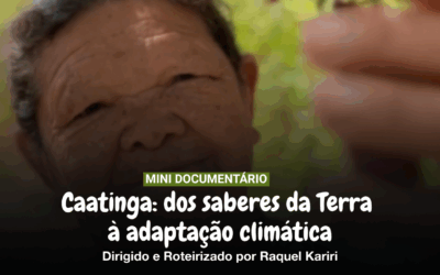 Caatinga: dos saberes da Terra à adaptação climática – vídeo mostra o que o semiárido brasileiro pode ensinar ao mundo