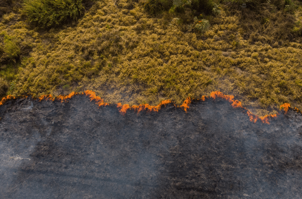 Pistas para identificar, enfrentar e denunciar injustiças climáticas