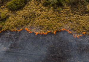 Pistas para identificar, enfrentar e denunciar injustiças climáticas