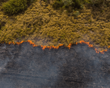 Pistas para identificar, enfrentar e denunciar injustiças climáticas