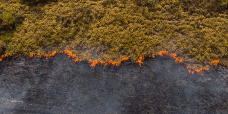 Pistas para identificar, enfrentar e denunciar injustiças climáticas