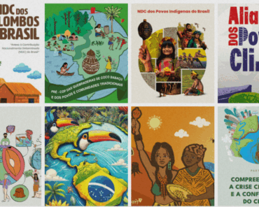 Rumo à COP30: Confira 12 ferramentas para sua bagagem ativista