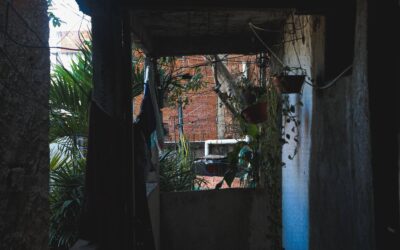 Como enfrentar o calor? Lutas e táticas das periferias urbanas contra o colapso ambiental