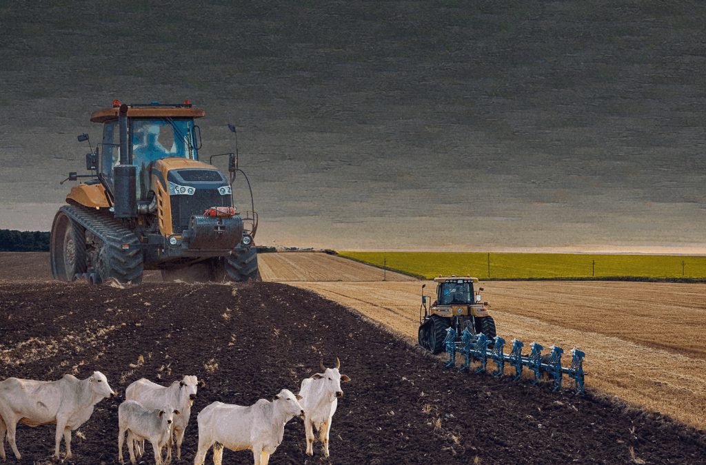 Quer combater a crise climática e socioambiental brasileira? Comece pelo agronegócio