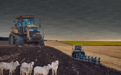 Quer combater a crise climática e socioambiental brasileira? Comece pelo agronegócio