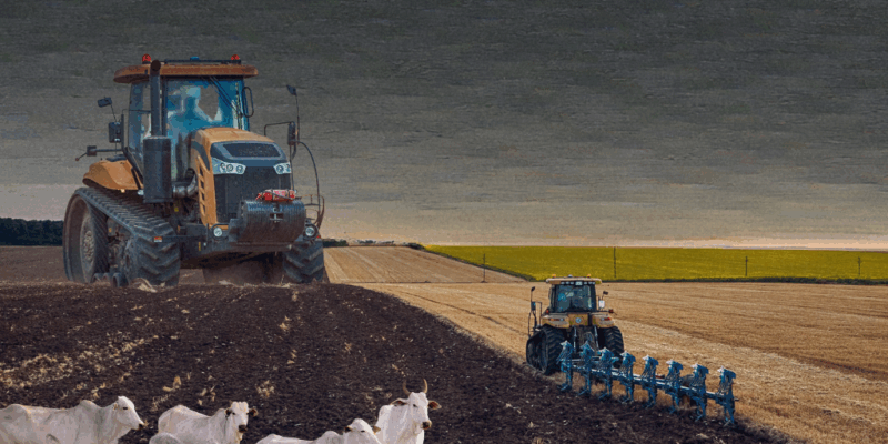 Imagem agronegócio