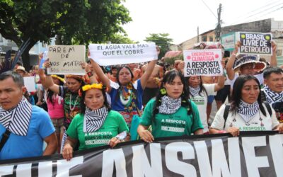 Da defesa do clima à da democracia (a luta é a mesma)​