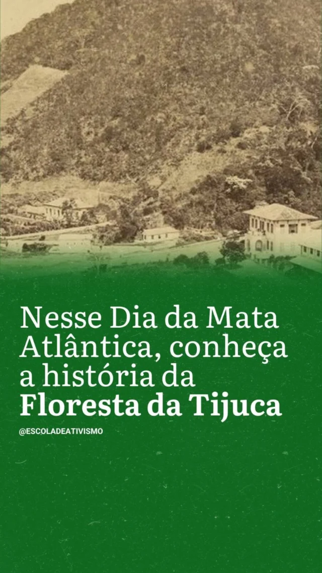 🌳 É o bioma mais devastado do país.

Hoje é Dia da Mata Atlântica. 24% da cobertura vegetal original já foi degradada, o que equivale a 3,7 milhões de hectares desmatados entre 1985 e 2023, segundo levantamento recente do MapBiomas.

Hoje, trouxemos um pouquinho da história da Floresta Nacional da Tijuca, ponto fundamental para o Rio de Janeiro e que só foi possível não por Major Archer ou Pedro II, como menciona o vídeo, mas pelas pessoas escravizadas que fizeram tudo acontecer.

Depois da elaboração deste vídeo, recebemos a informação de que os nomes dos seis escravizados são Eleutério, Constantino, Manoel, Mateus, Leopoldo e Maria. Eles plantaram mais de 100 mil árvores nativas da Mata Atlântica, entre 1861 e 1874.

No dia de hoje, relembremos o efeito de quem (des)mata e o impacto de quem planta. De quem segura a terra e o céu.

Sigamos. E viva a Mata Atlântica.

#escoladeativismo #ativismo #ativismo #clima #climatechange #climatecrisis #acao #impactosocial #justicasocial